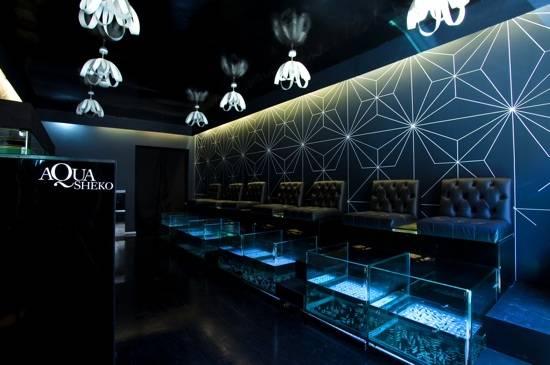 Fancy a Nibble? Fish Therapy Arrives in Kensington
