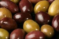 Haute Daycation: Paso Robles Wine Country Olive Fest