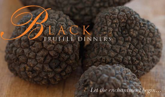 Patina Restaurant to Host Truffle Dinner Series