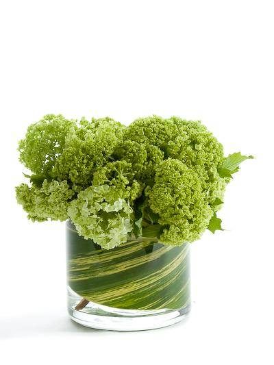 H.BLOOM: Just in Time for the Holidays