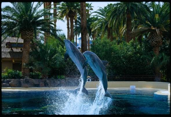Can’t Buy Me Love: The $41,000 Love Starts Here Package at the Mirage