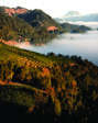 Notable Napa