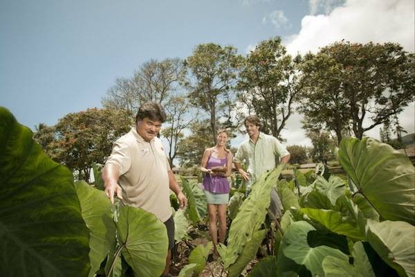 Hautels: New experiential hotel in Hana promises ‘magic’