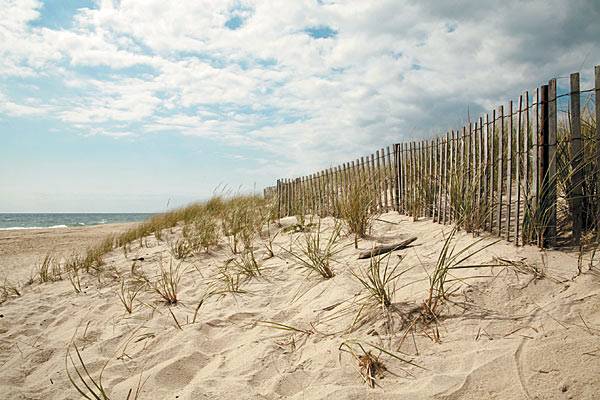 This Weekend’s Hamptons Events