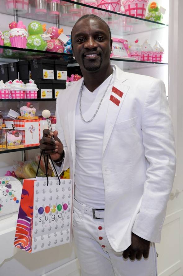 Haute Event: AnnaLynne McCord, Akon, Ray J and Flo Rida at Sugar Factory