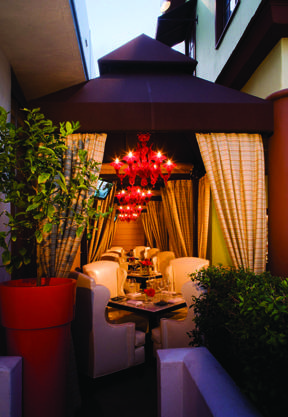 HAUTE PARTNERS :: DAVID MANERO