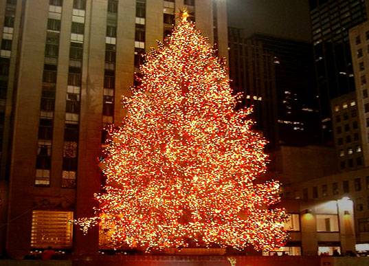 It’s Lights On for The Rockefeller Center Christmas Tree