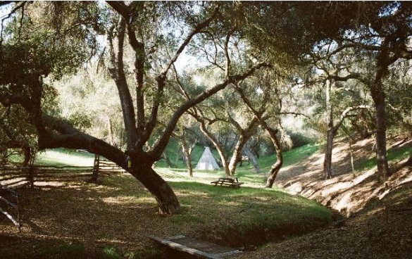 Actress Daryl Hannah Puts Malibu Home on the Market