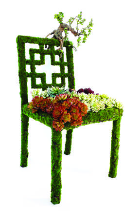 emiliorobbamosschair