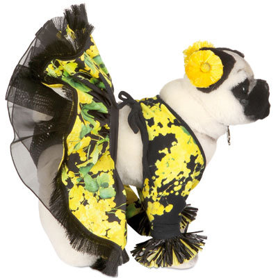 Designers Create Luxury Dog Clothing and Accessories for Charity