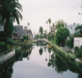 Why Venice Beach is Becoming the New Hollywood