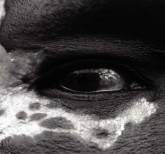 Haute Living Sits Down With Visionary Actor & Photographer Ntare Mwine