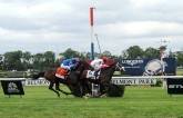 Palace Malice Wins the Belmont Stakes