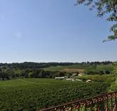 Vineyards by Christie’s International Real Estate Debuts