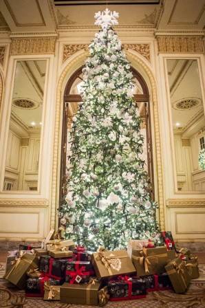The Plaza Tree