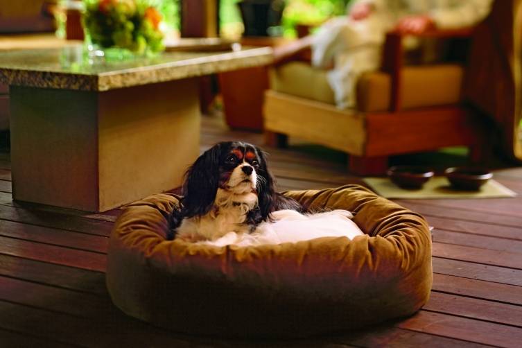 calistoga_pet_bed