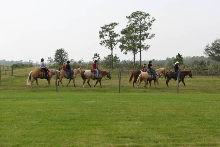 Members on Horses