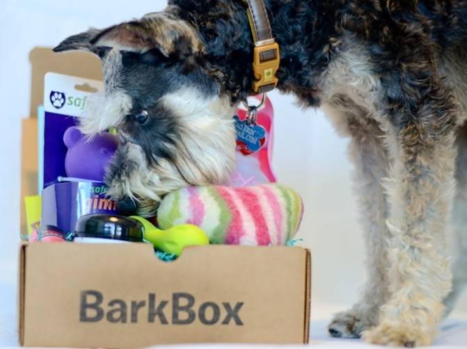 barkbox