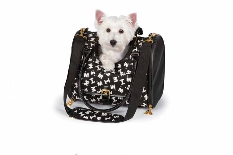 dog bag